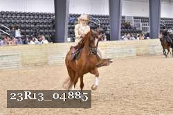 23R13_04885 thumbnail