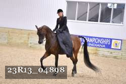 23R13_04898 thumbnail