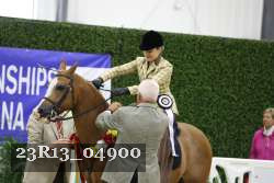 23R13_04900 thumbnail