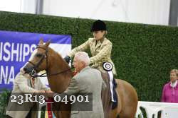 23R13_04901 thumbnail