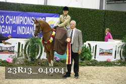23R13_04904 thumbnail