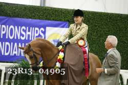 23R13_04905 thumbnail