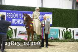23R13_04908 thumbnail
