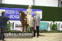 23R13_04909 thumbnail