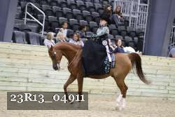 23R13_04911 thumbnail
