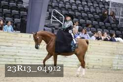 23R13_04912 thumbnail