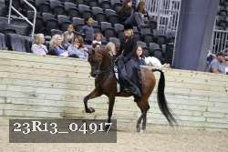23R13_04917 thumbnail