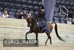 23R13_04918 thumbnail