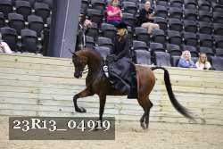 23R13_04919 thumbnail