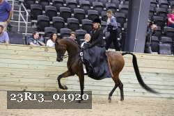 23R13_04920 thumbnail