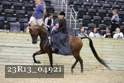 23R13_04921 thumbnail