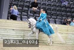 23R13_04924 thumbnail