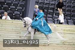 23R13_04925 thumbnail