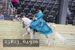 23R13_04926 thumbnail