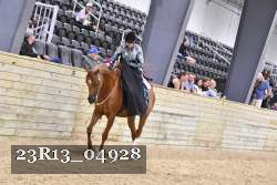 23R13_04928 thumbnail