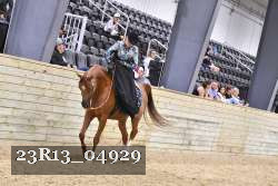 23R13_04929 thumbnail