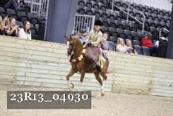 23R13_04930 thumbnail
