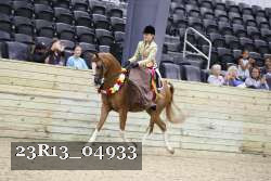 23R13_04933 thumbnail