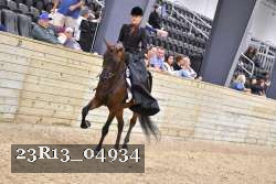 23R13_04934 thumbnail