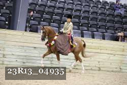 23R13_04935 thumbnail