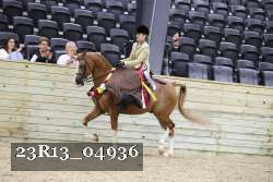 23R13_04936 thumbnail