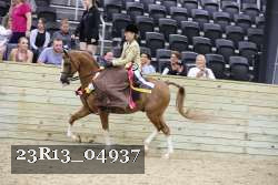 23R13_04937 thumbnail