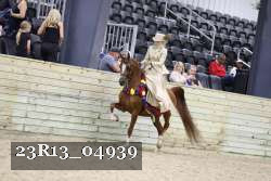 23R13_04939 thumbnail