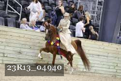 23R13_04940 thumbnail