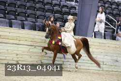 23R13_04941 thumbnail