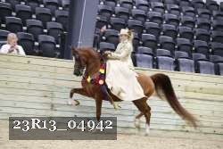 23R13_04942 thumbnail
