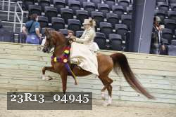 23R13_04945 thumbnail
