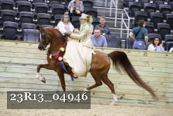23R13_04946 thumbnail