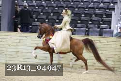23R13_04947 thumbnail