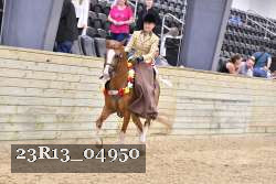 23R13_04950 thumbnail