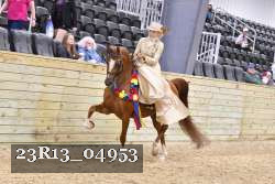 23R13_04953 thumbnail