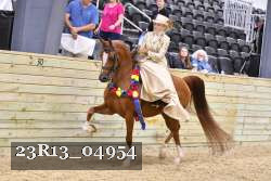 23R13_04954 thumbnail