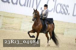 23R13_04984 thumbnail