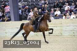 23R13_05004 thumbnail