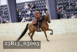23R13_05005 thumbnail