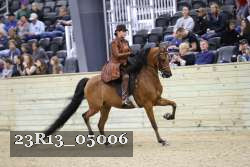 23R13_05006 thumbnail