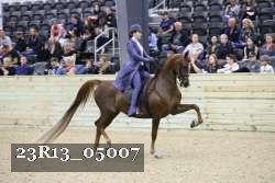 23R13_05007 thumbnail