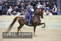 23R13_05008 thumbnail