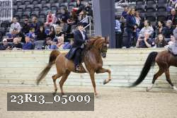 23R13_05009 thumbnail