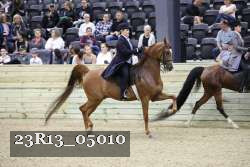 23R13_05010 thumbnail