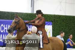 23R13_05011 thumbnail