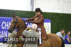 23R13_05012 thumbnail