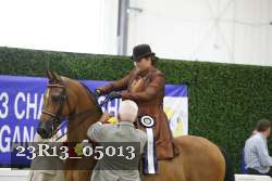 23R13_05013 thumbnail