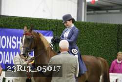 23R13_05017 thumbnail