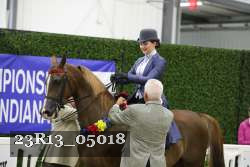 23R13_05018 thumbnail