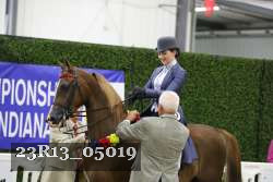 23R13_05019 thumbnail